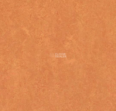 Forbo Marmoleum Decibel on Order 382535 African desert фото 1 | FLOORDEALER